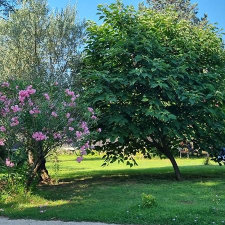 Chambre L'Orchidee Vallon-Pont-dʼArc 외부 사진